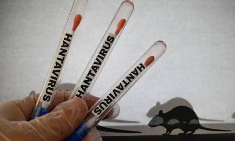 Descartan alerta sanitaria por hantavirus en el país