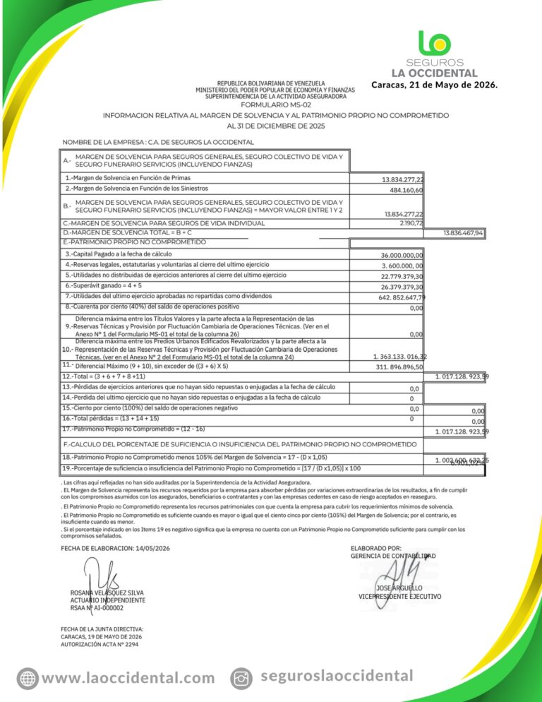 Margen de Solvencia Seguros La Occidental, C.A