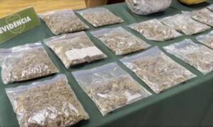 Detienen a venezolano que vendía marihuana por delivery junto a un adolescente en Chile