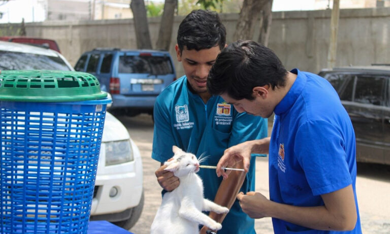 Alcaldía de Maracaibo fortalece programa de adopción y atención animal