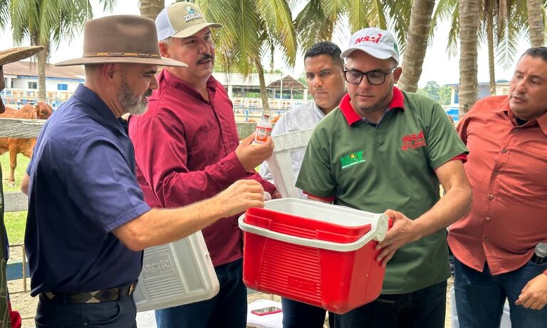 Gobernador y el ministro Padrino López despliegan en Colón el Plan Nacional de Vacunación Antiaftosa 