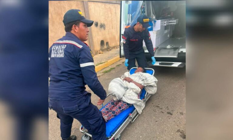 Al menos 6 personas afectadas por ataque de abejas africanas en Cuatricentenario