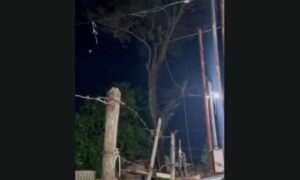 Atienden emergencia por árbol incendiado en el sector Puntica de Piedra