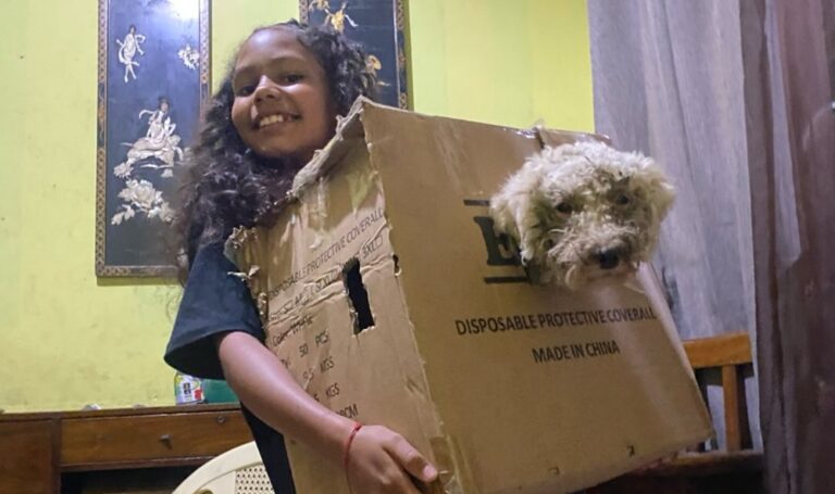 Se recupera Beily, el perrito rescatado tras 29 días bajo los escombros en Catia La Mar