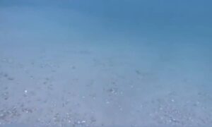 Terremotos provocarían “cambio geográfico” en el fondo marino de La Guaira