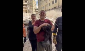 Rescatan con vida a un gato tras pasar 33 días bajo los escombros en Caracas