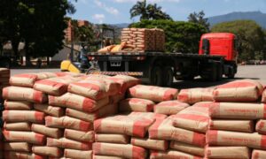Advierten que el cemento producido en el país no es apto para reconstruir después de los terremotos