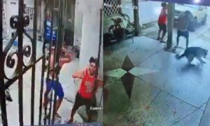 Se viraliza video de jóvenes que escapan mientras caen escombros: su perrito fue llevado a Mérida