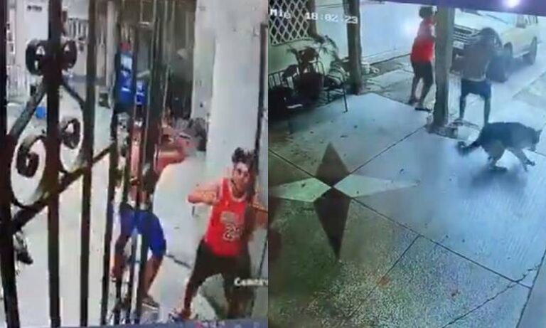 Se viraliza video de jóvenes que escapan mientras caen escombros: su perrito fue llevado a Mérida