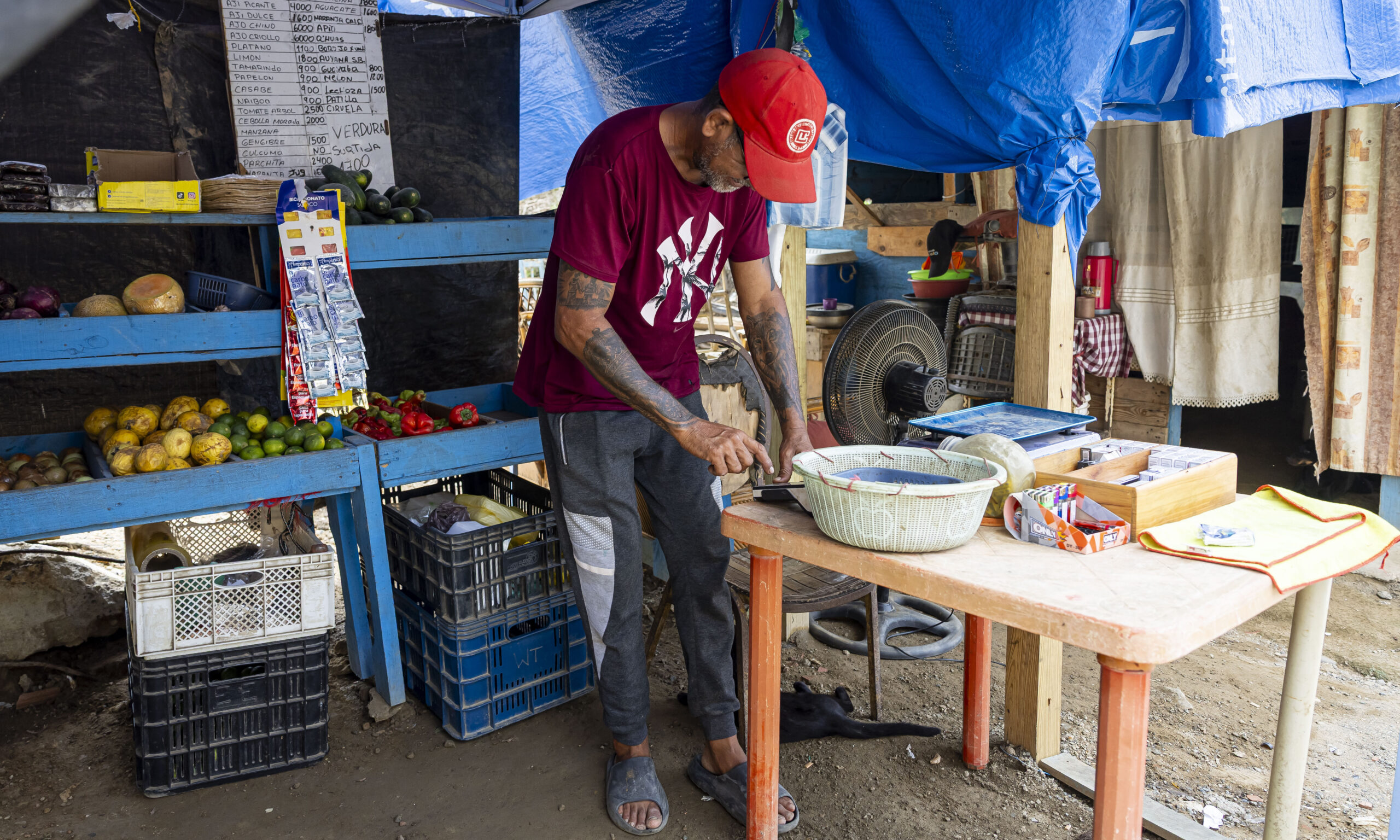 Sobrevivientes de los terremotos en La Guaira emprenden para superar la tragedia