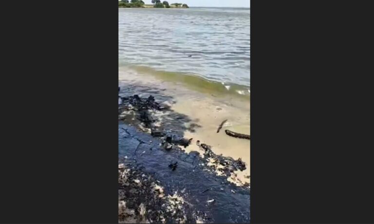 Reportan derrame de petróleo a orillas del Lago en la Vereda 2