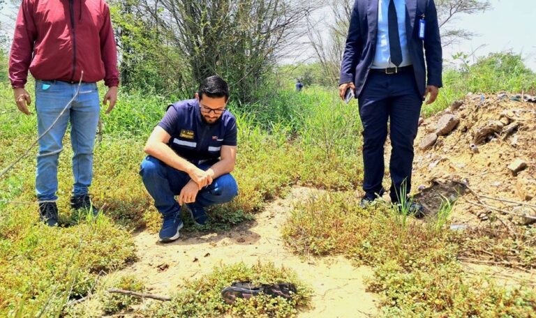 Buscan a los responsables del maltrato a oso melero en Barcelona