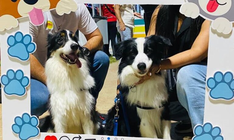 Realizarán Feria Animalista y jornada de vacunación antirrábica en Maracaibo