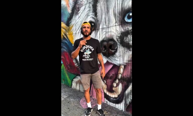 Vandalizan por segunda vez el mural del perro rescatista Tsunami en Caracas