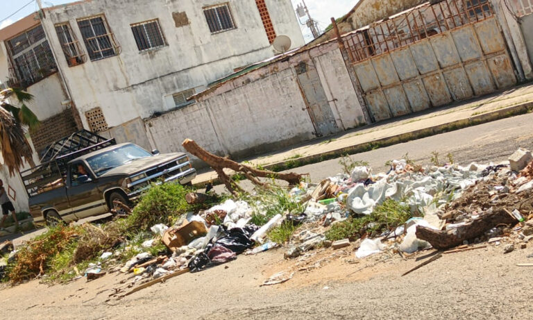 Denuncian botadero de basura y animales muertos en el sector 18 de Octubre