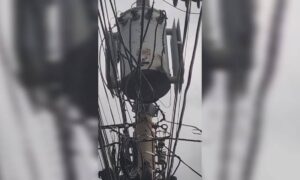 En el sector Los Cactus llevan 2 semanas sin luz por falla en transformador