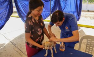 Realizarán jornada de esterilización para perros y gatos en Maracaibo el Día Mundial de los Animales