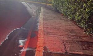 Denuncian bote de agua potable en un inmueble en venta en Olegario Villalobos