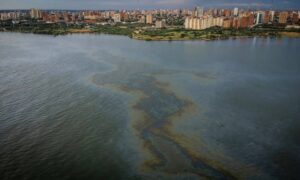 Denuncian que plantas de tratamiento para sanear el Lago permanecen inactivas