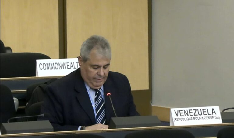 Gobierno interino defiende ante la ONU mejoras en DD. HH. y pide el fin de la misión investigadora