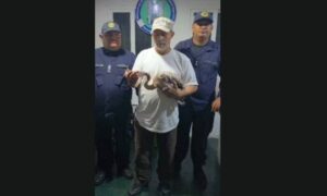Rescatan a flamenco tras desorientarse en Las Pulgas