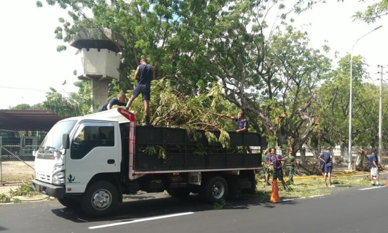 El IMA insta a Corpoelec a mesa de trabajo para coordinar planes de poda en Maracaibo