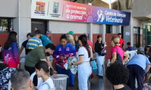 El Instituto Municipal de Protección Animal tiene ahora farmacia
