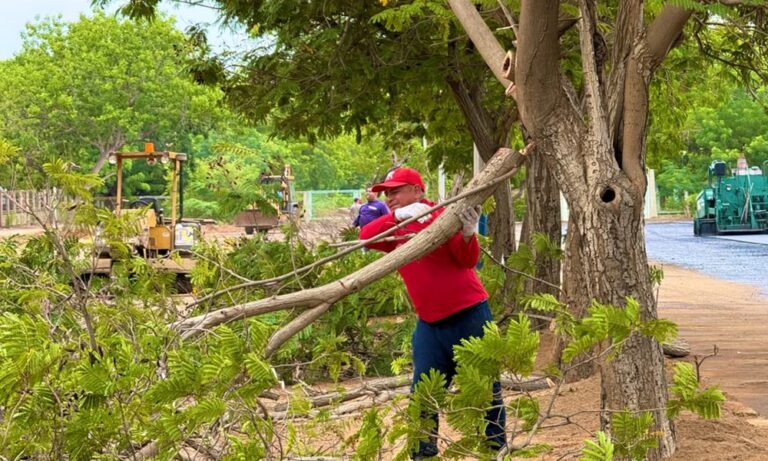 Gobernación pone en marcha la recuperación del nido de las Águilas del Zulia con mejoras en sus instalaciones