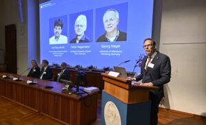Deisseroth, Hegemann y Nagel ganan el Nobel de Medicina por sus descubrimientos en optogenética